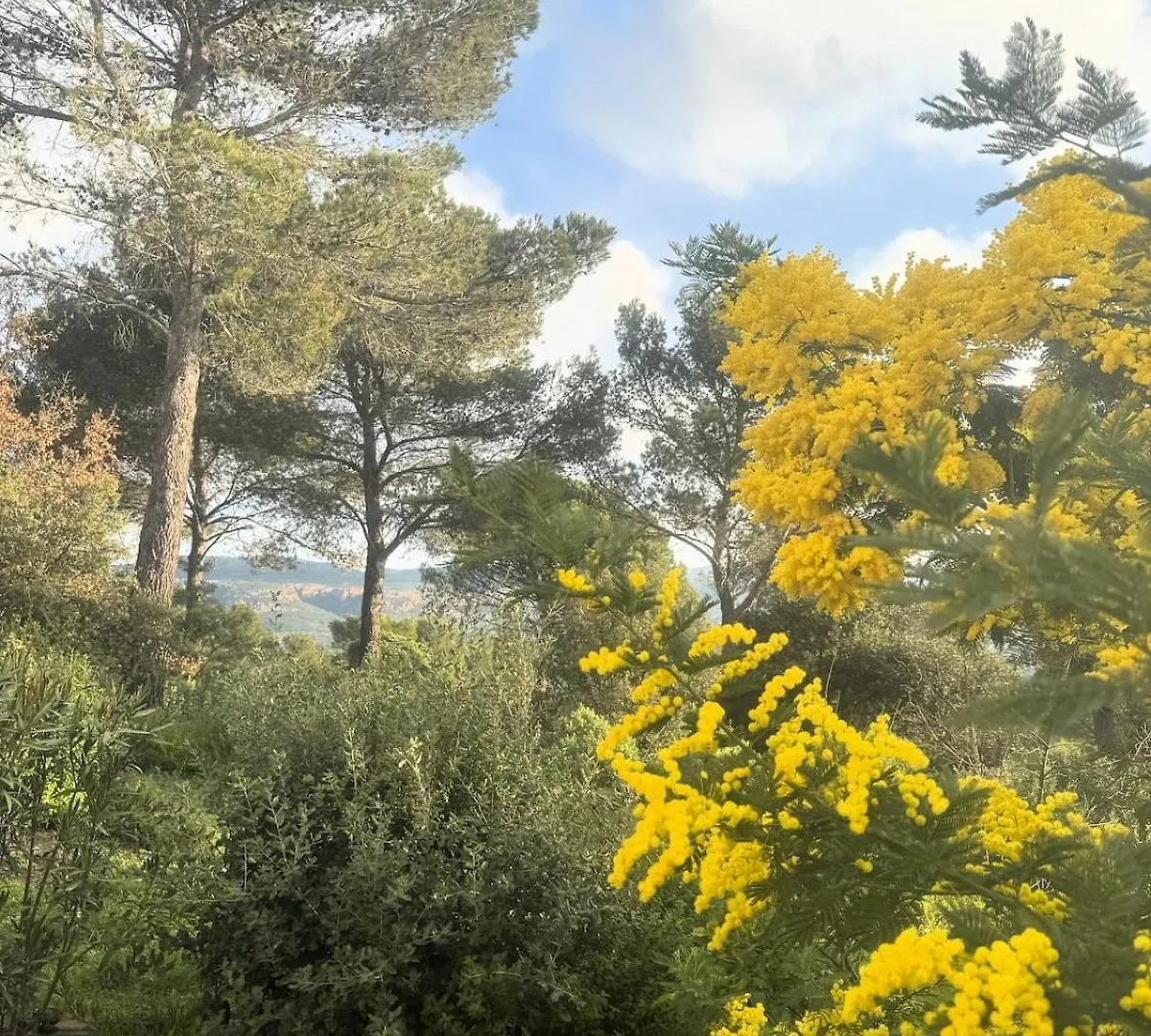 Holiday home House Isabelle In Golf Saint Endreol, Provence, Great View Villa La Motte