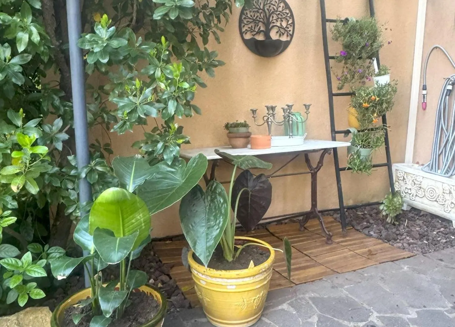 House Isabelle In Golf Saint Endreol, Provence, Great View Villa La Motte  0*, La Motte (Var) France